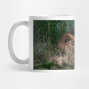 Lion In The Grass Mug